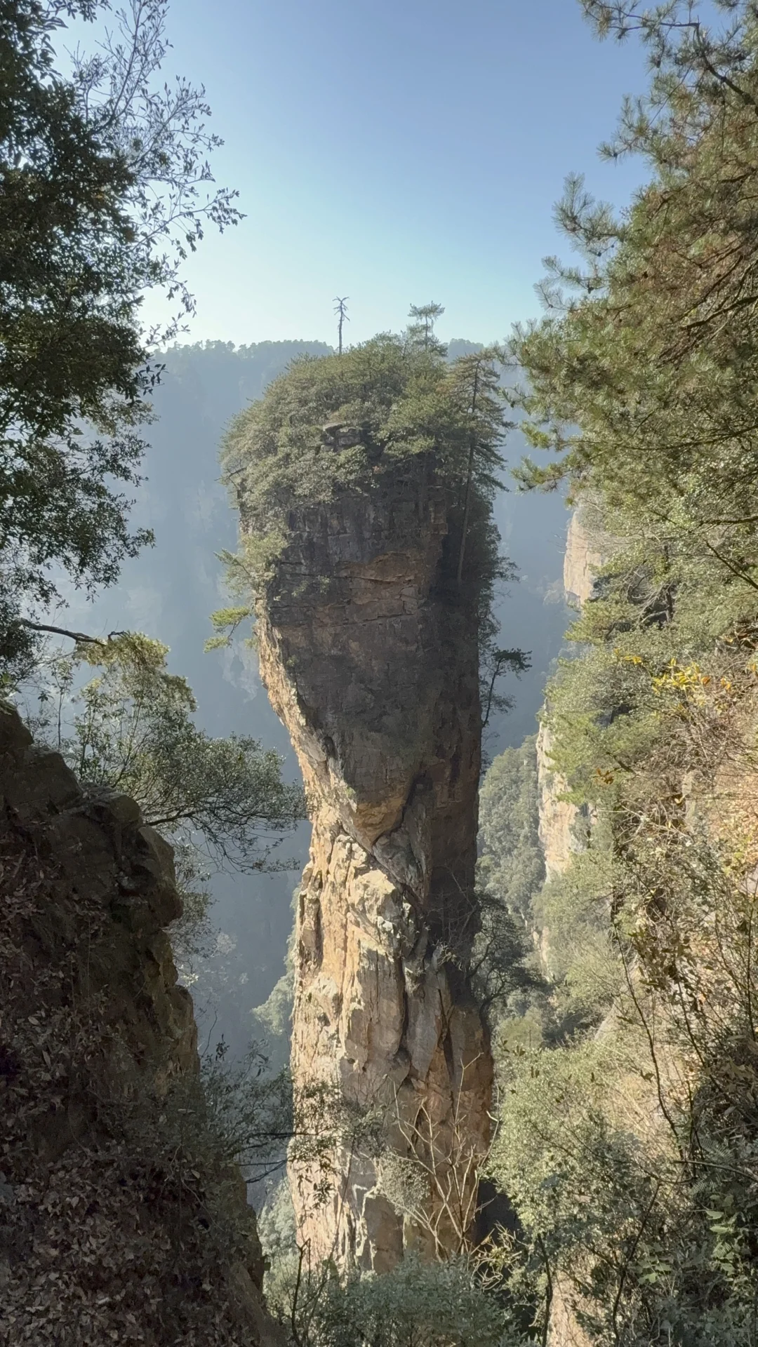 淡季张家界人少，无坑