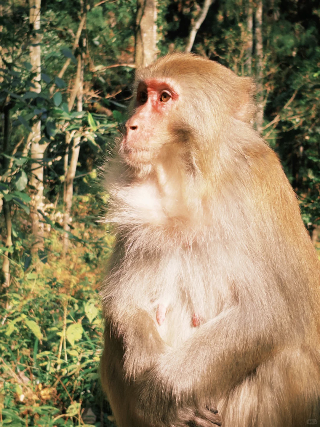 三天十万步畅游张家界