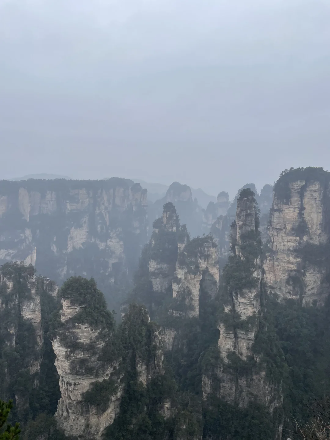 张家界3天2夜｜不想做攻略直接复制：）