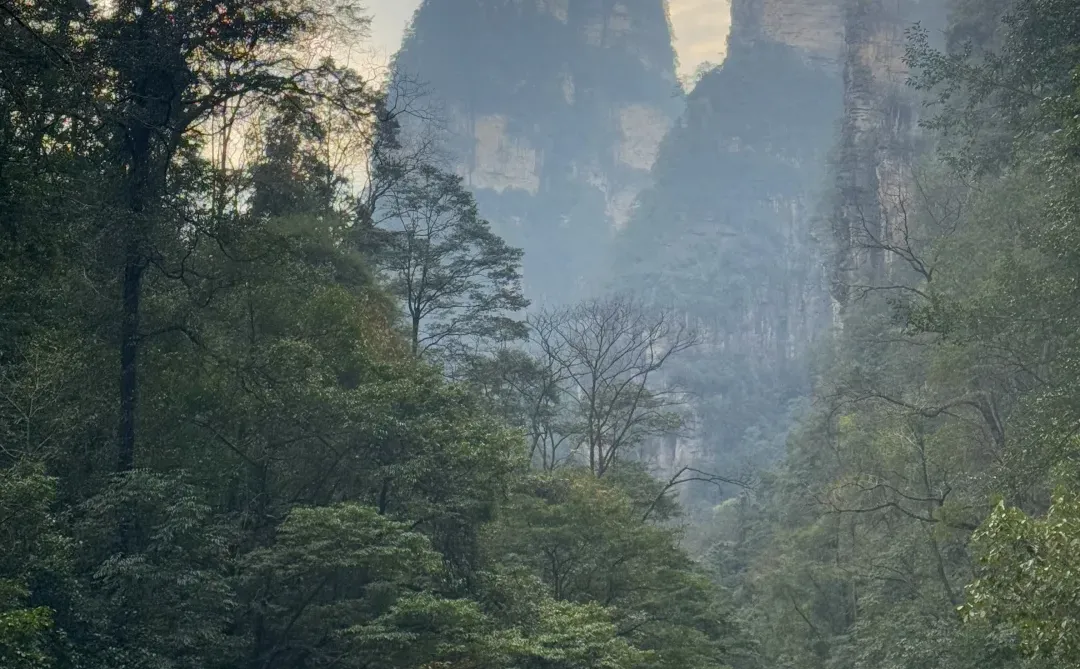 张家界，太美了！附精华攻略📖