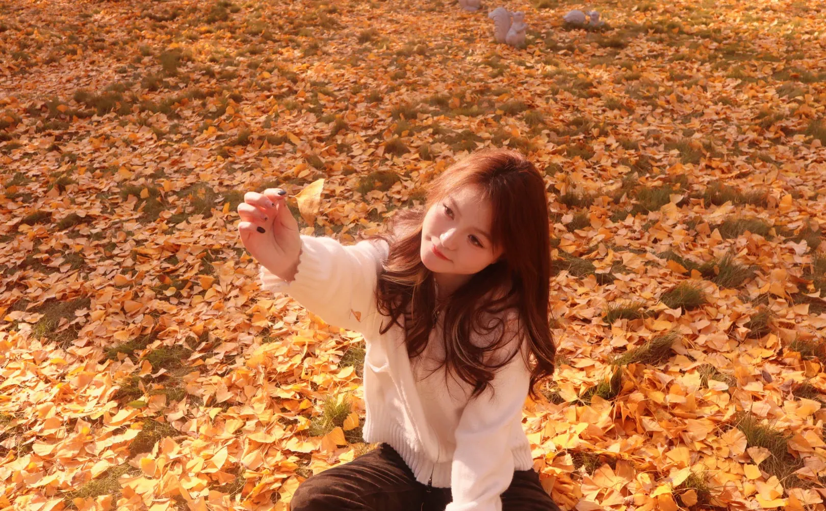 来张家界玩可以找我当导游呀🎈