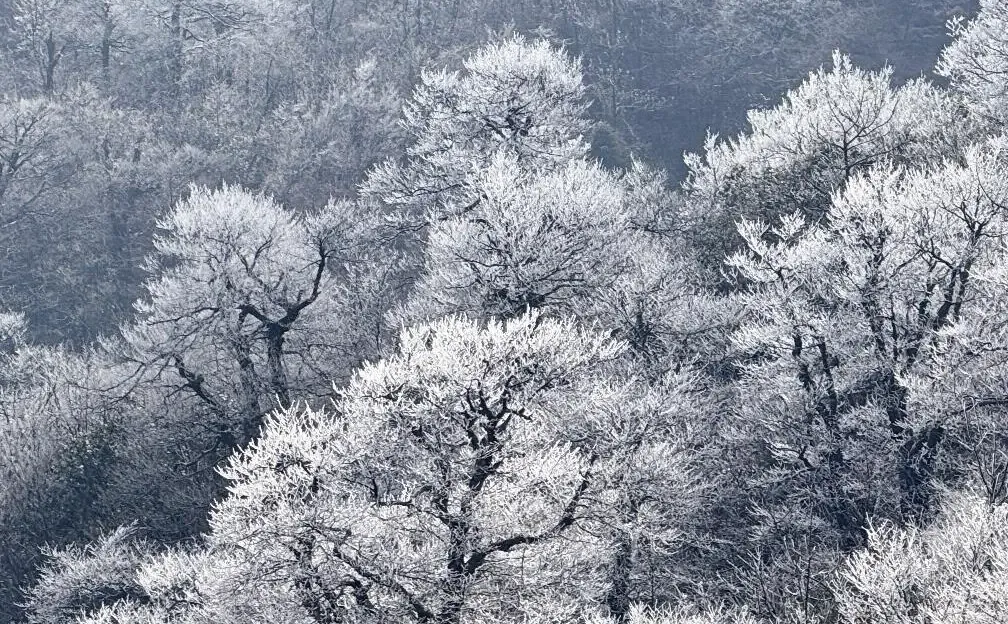 快看！天门山雾凇杀疯了