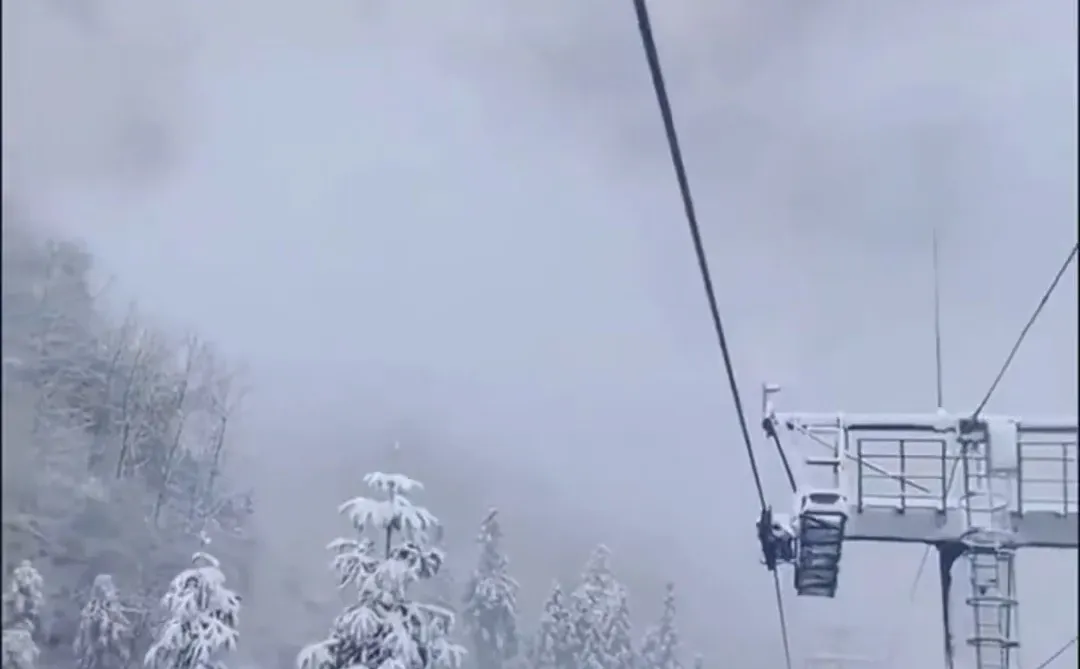 人生建议：冬天一定要去张家界看雪❄️