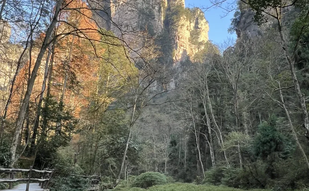 跟着🇨🇦向导2天逛遍张家界公园
