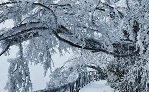 12月的张家界，在等您来欣赏
