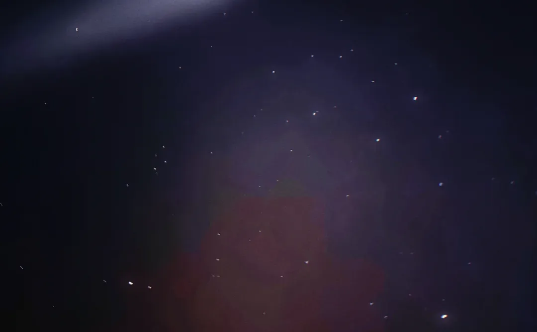 总要去一次天门山吧⛰️