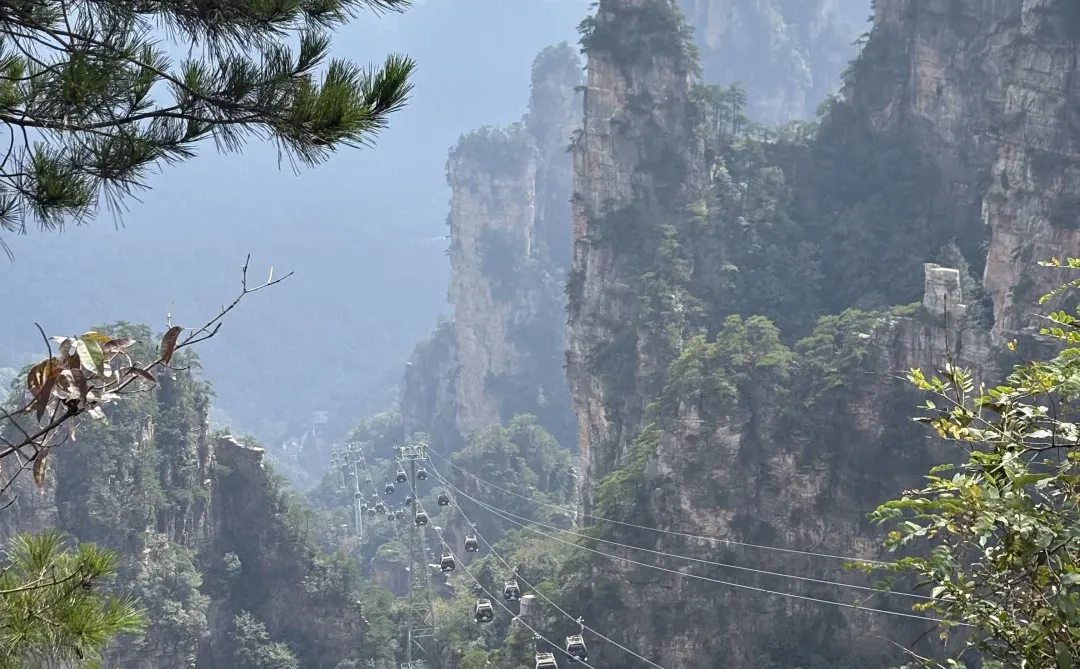我今天来看，张家界上果然长满了外国人