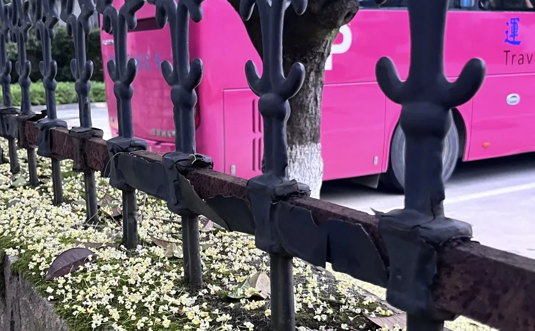 国庆张家界森林公园新皮肤