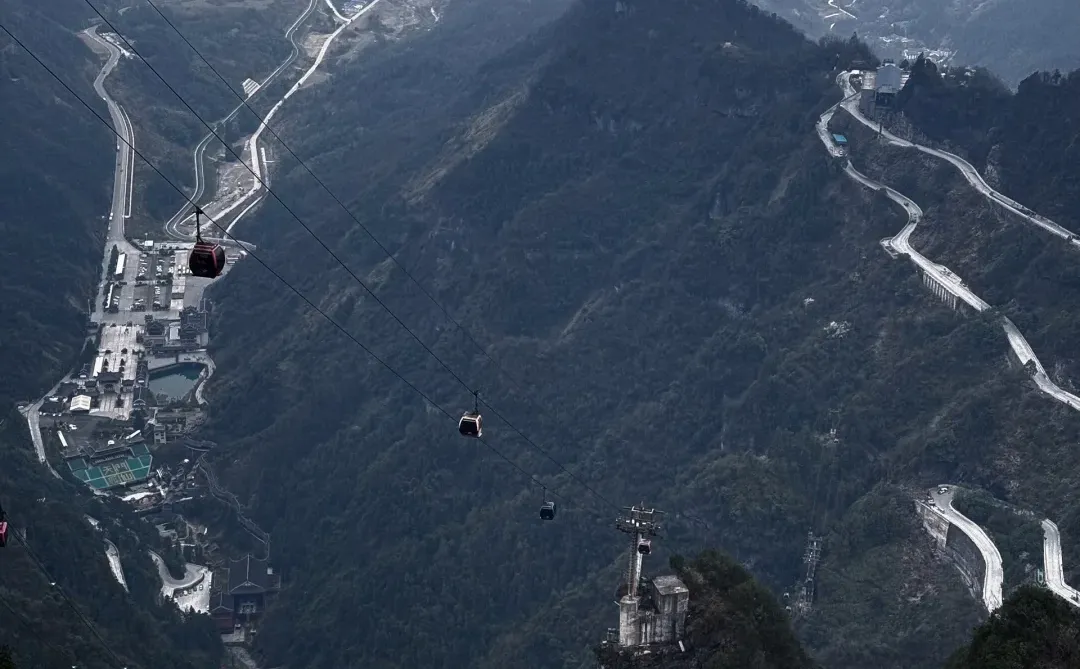 自由才是人生的底牌