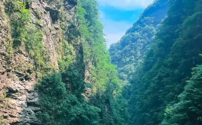 张家界旅游现状哭晕！一去一个不吱声
