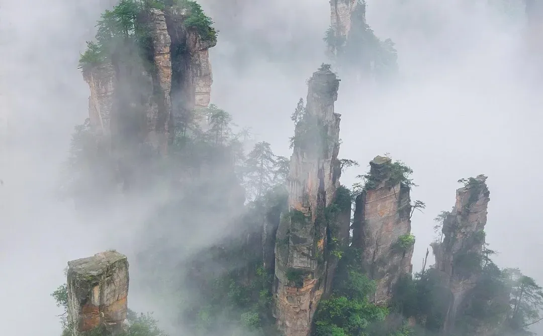 五一已回，张家界出行随便问！（避雷版）