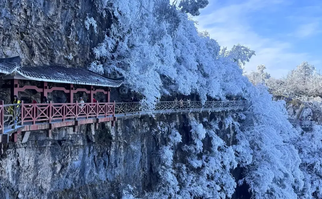准备飞中国的注意啦‼️