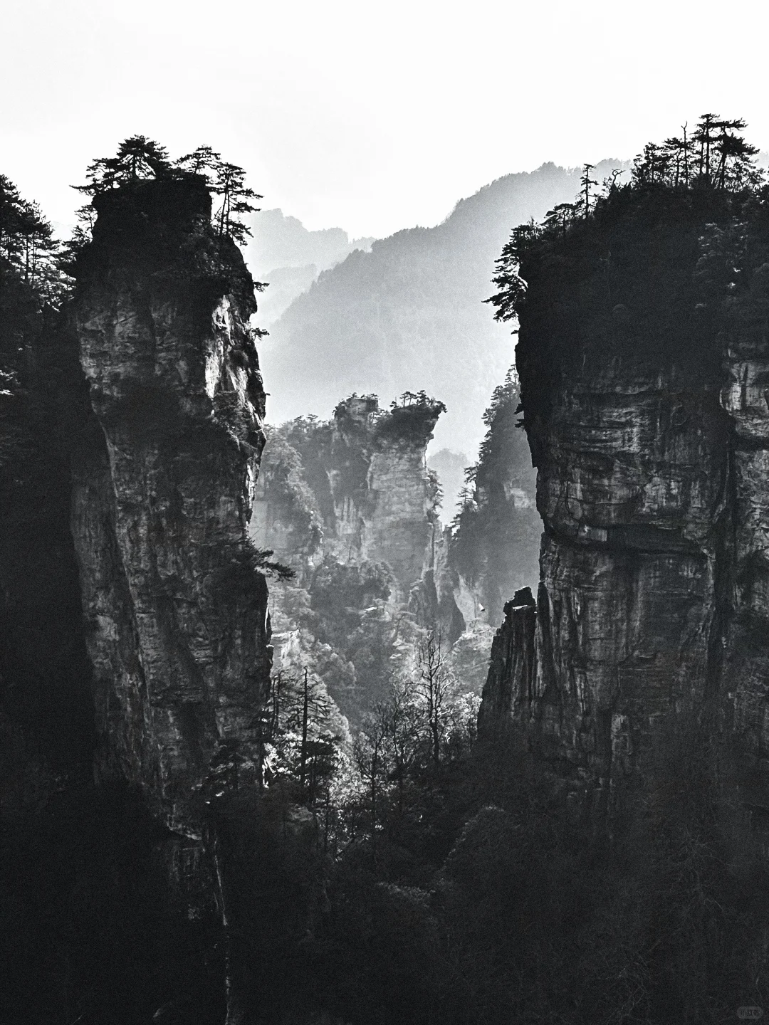 三天十万步畅游张家界