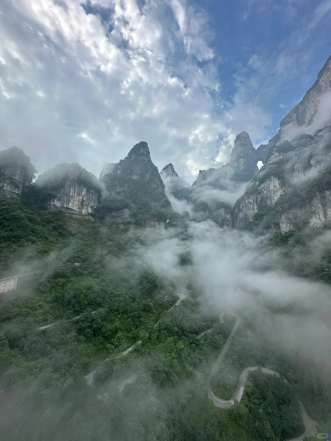 五一已回，张家界出行随便问！（避雷版）