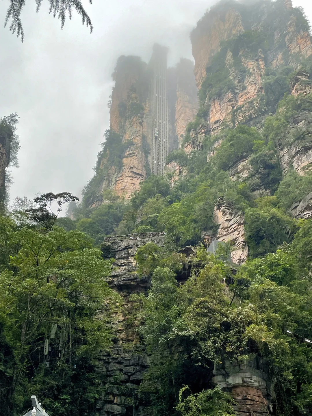 走过999阶天梯，此后皆是坦途