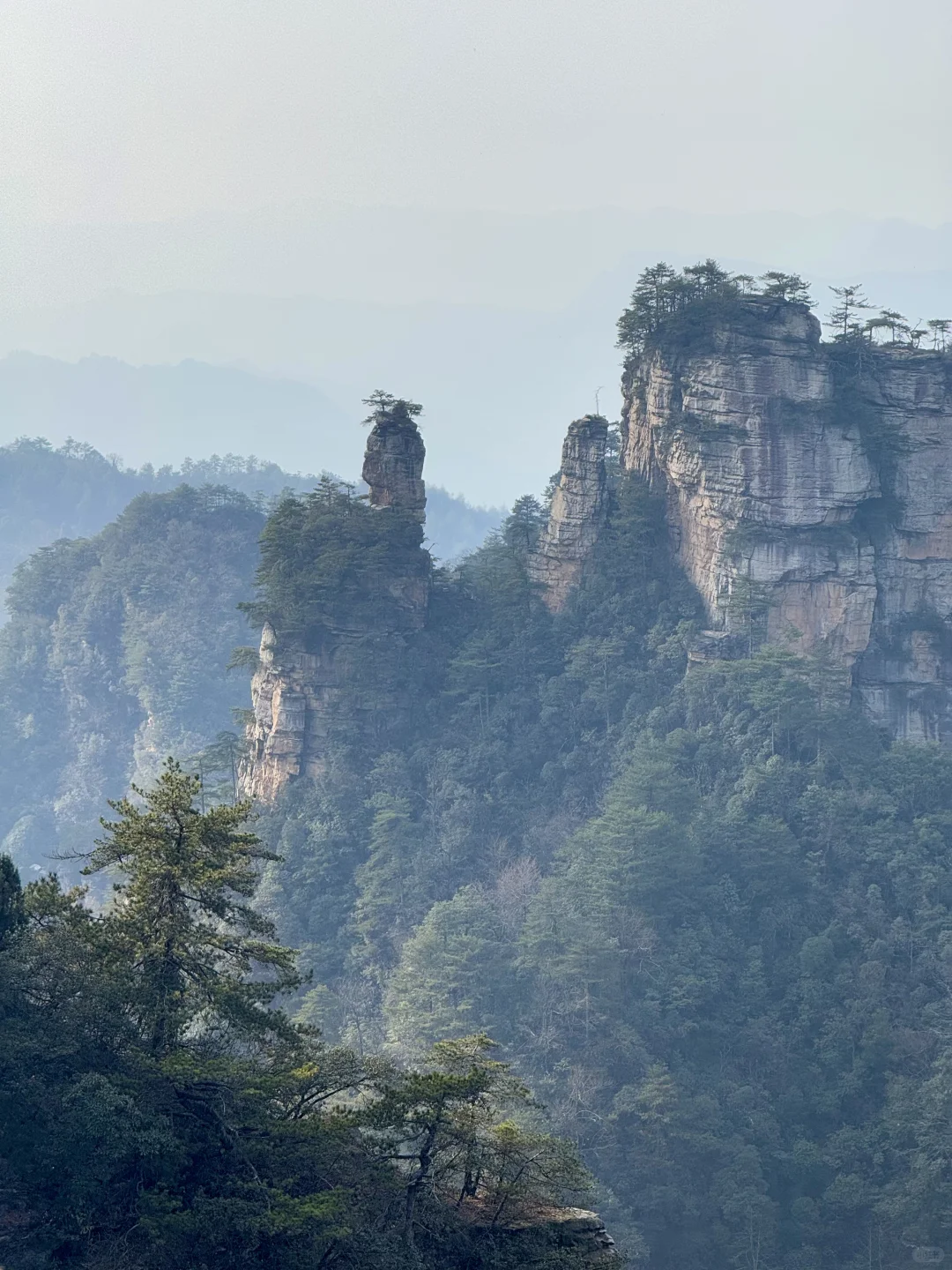 张家界，太美了！附精华攻略📖
