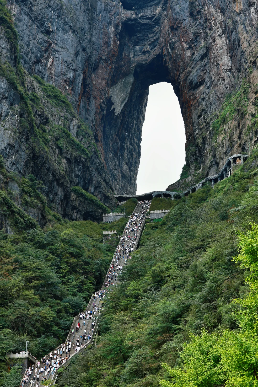 走过999阶天梯，此后皆是坦途