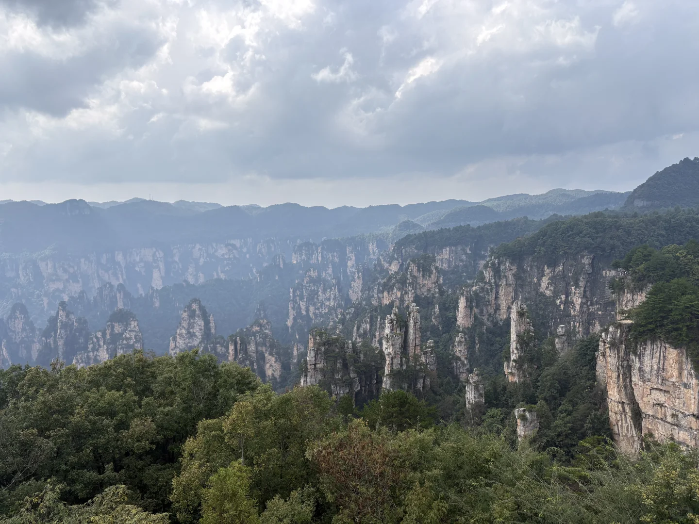我今天来看，张家界上果然长满了外国人