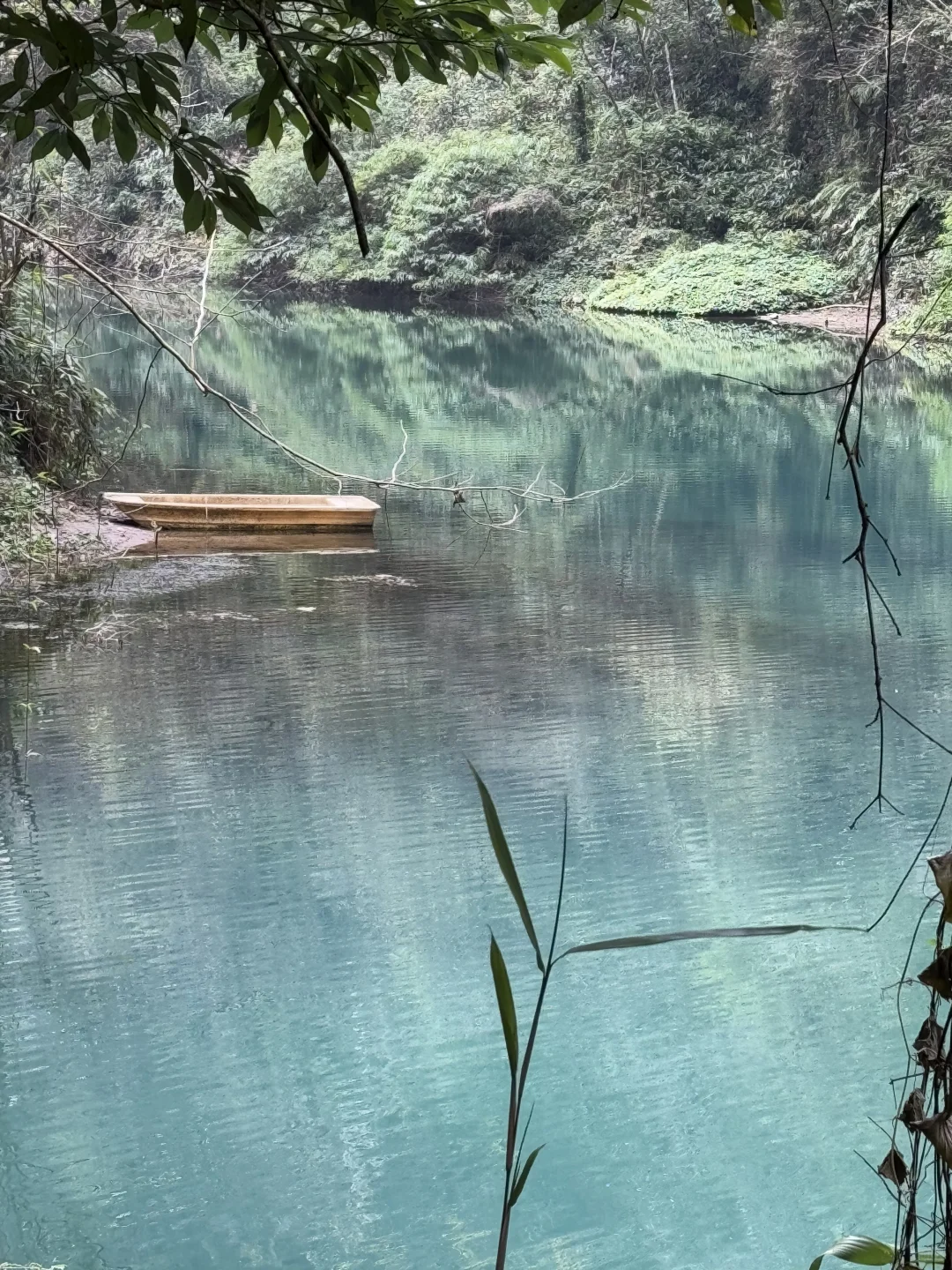 张家界大峡谷有点东西