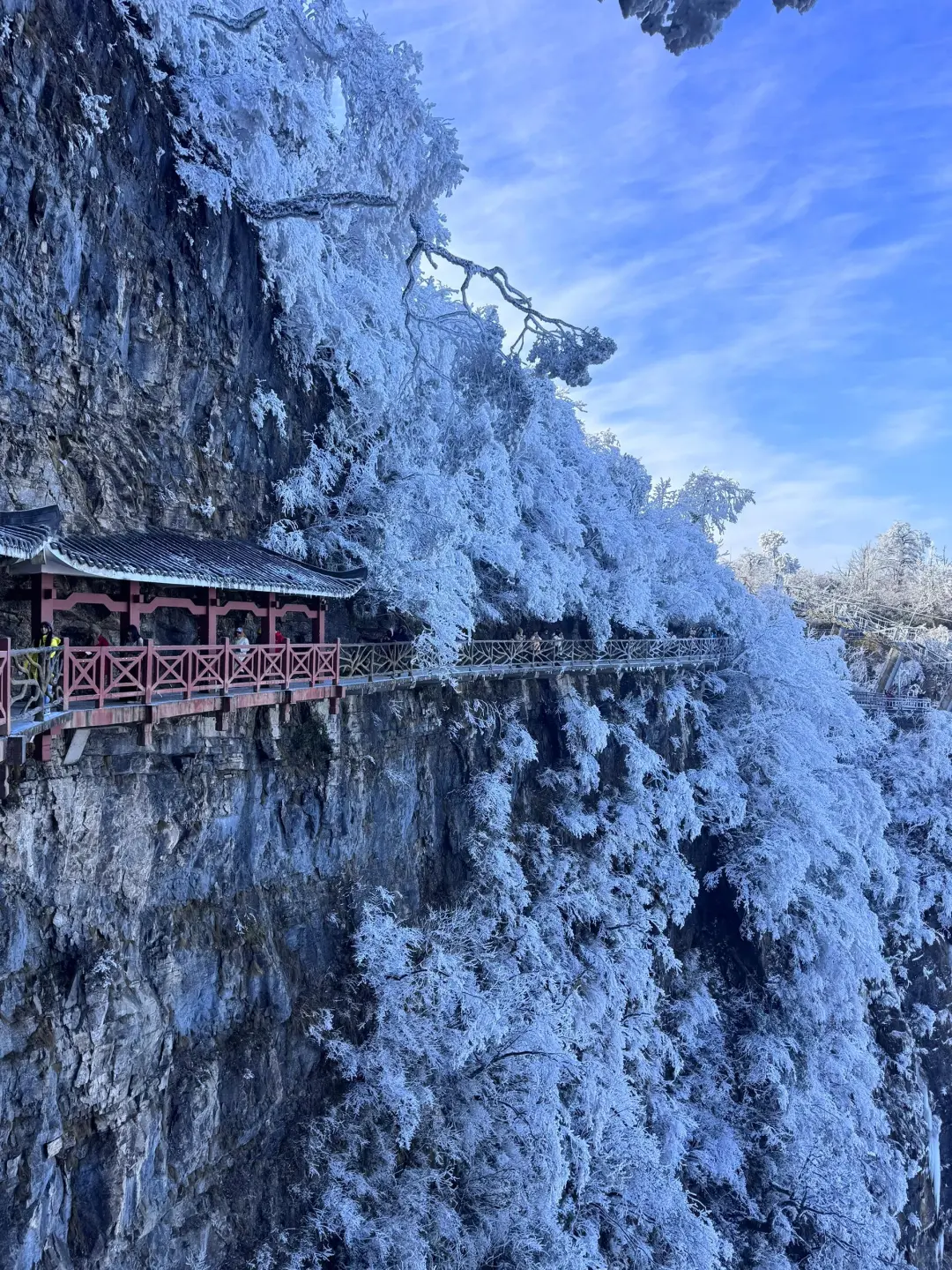 准备飞中国的注意啦‼️