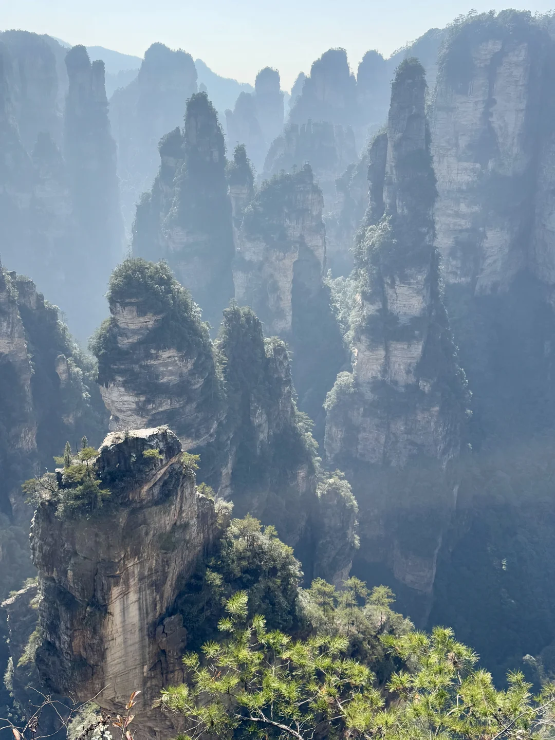 张家界，太美了！附精华攻略📖