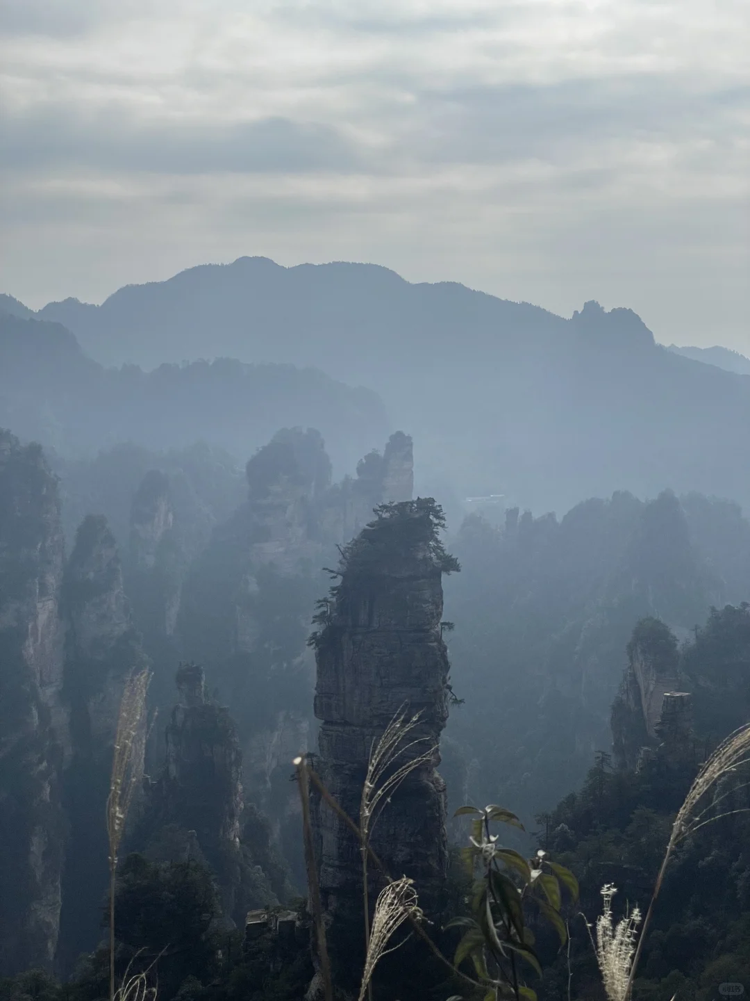 张家界3天2夜｜不想做攻略直接复制：）