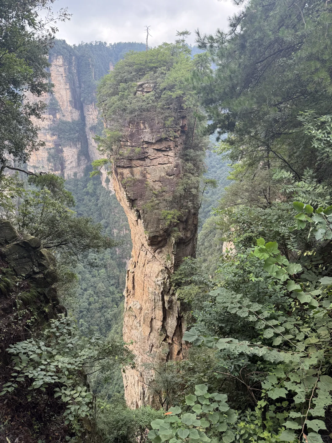 张家界武陵源景区B线