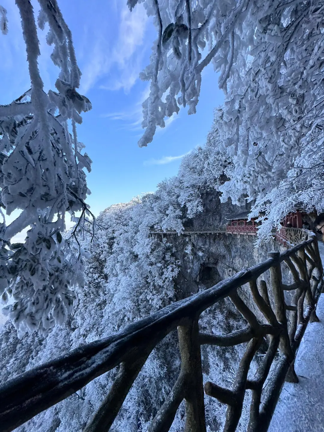 准备飞中国的注意啦‼️