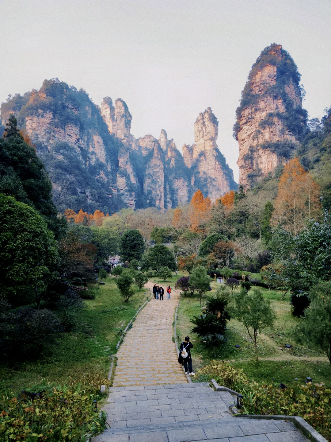 三天十万步畅游张家界