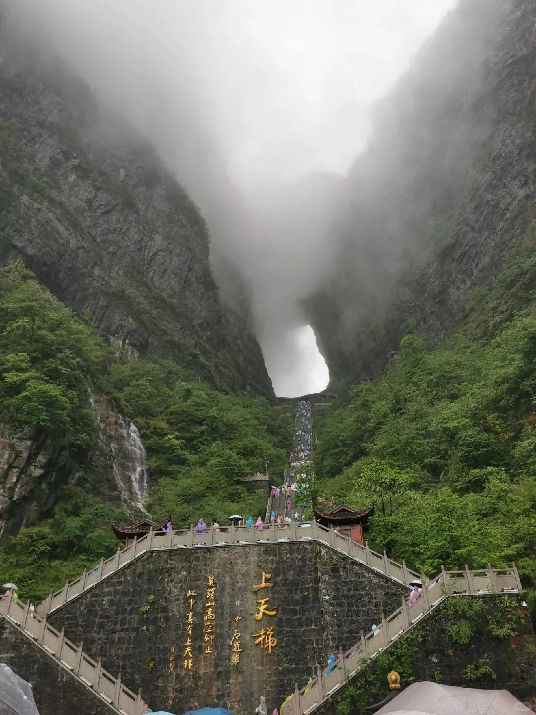 五一已回，张家界出行随便问！（避雷版）