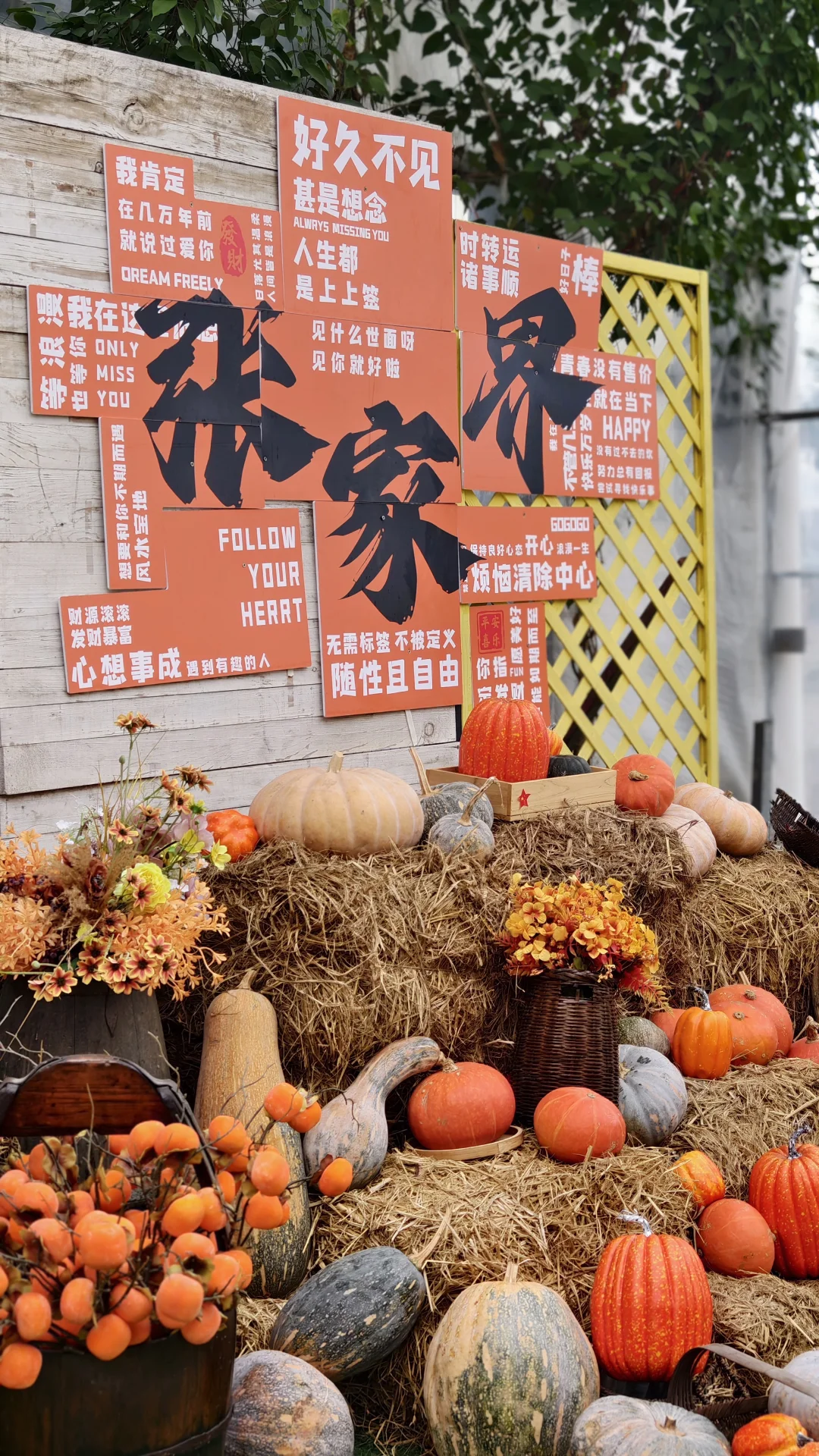 景湘园艺家，窑烤面包➕围炉煮茶温暖上线