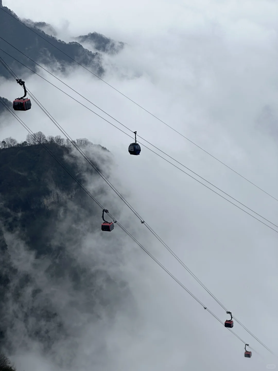 2025年第一场雪，在张家界天门山🥶
