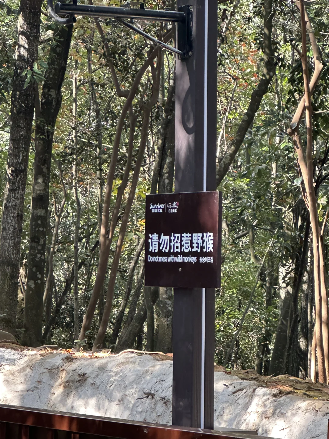 一天一夜的张家界来了