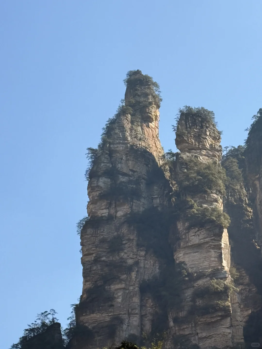 淡季张家界人少，无坑