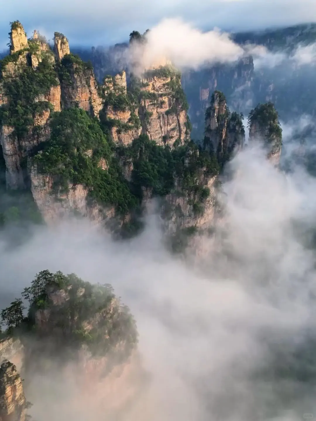准备飞中国的注意啦‼️