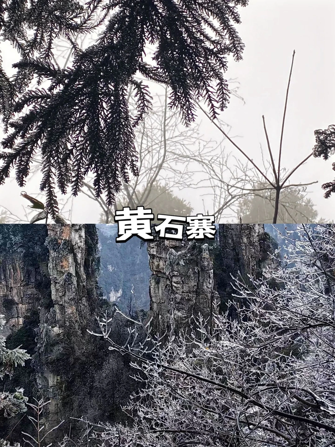 📍张家界受冻已回，但也被雾凇美哭啦😭