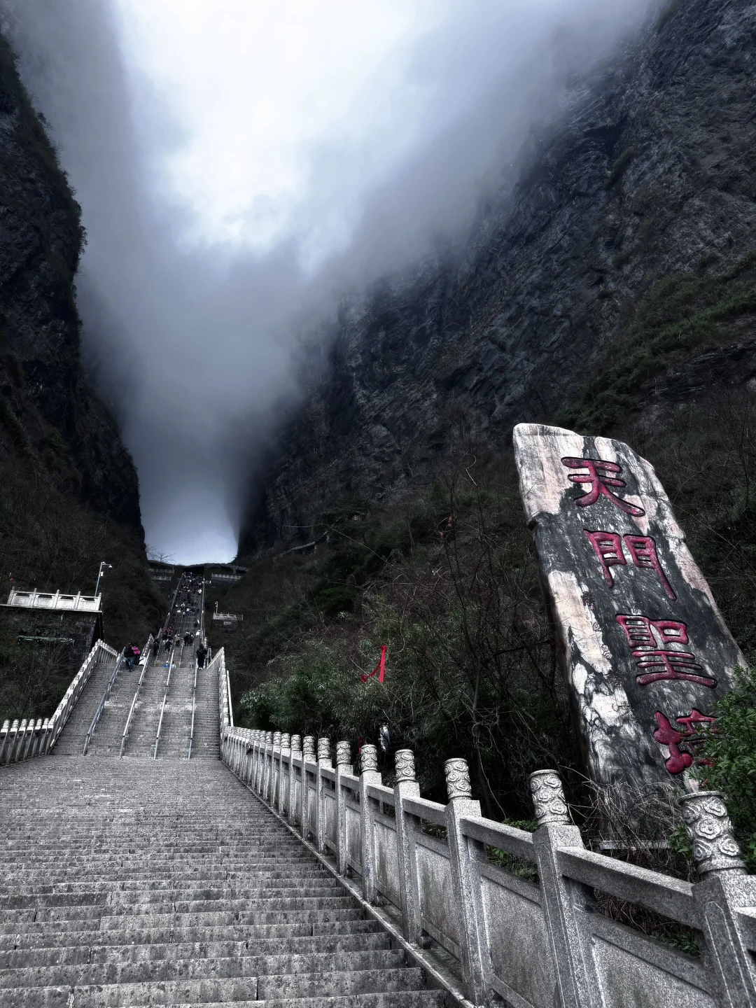 自由才是人生的底牌