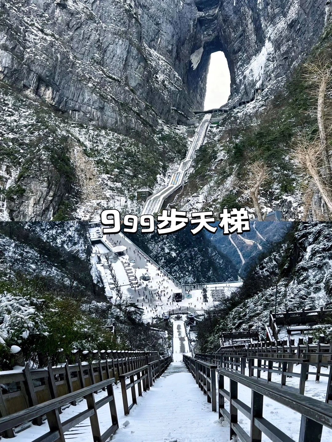 📍张家界受冻已回，但也被雾凇美哭啦😭