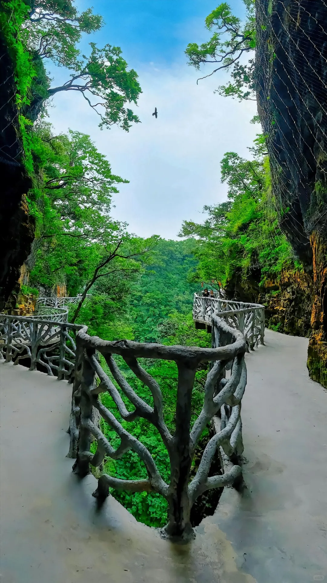 张家界，天门山