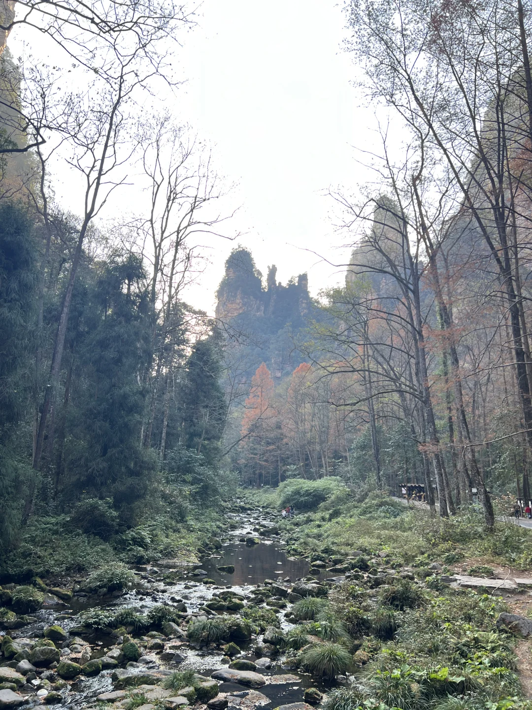 跟着🇨🇦向导2天逛遍张家界公园