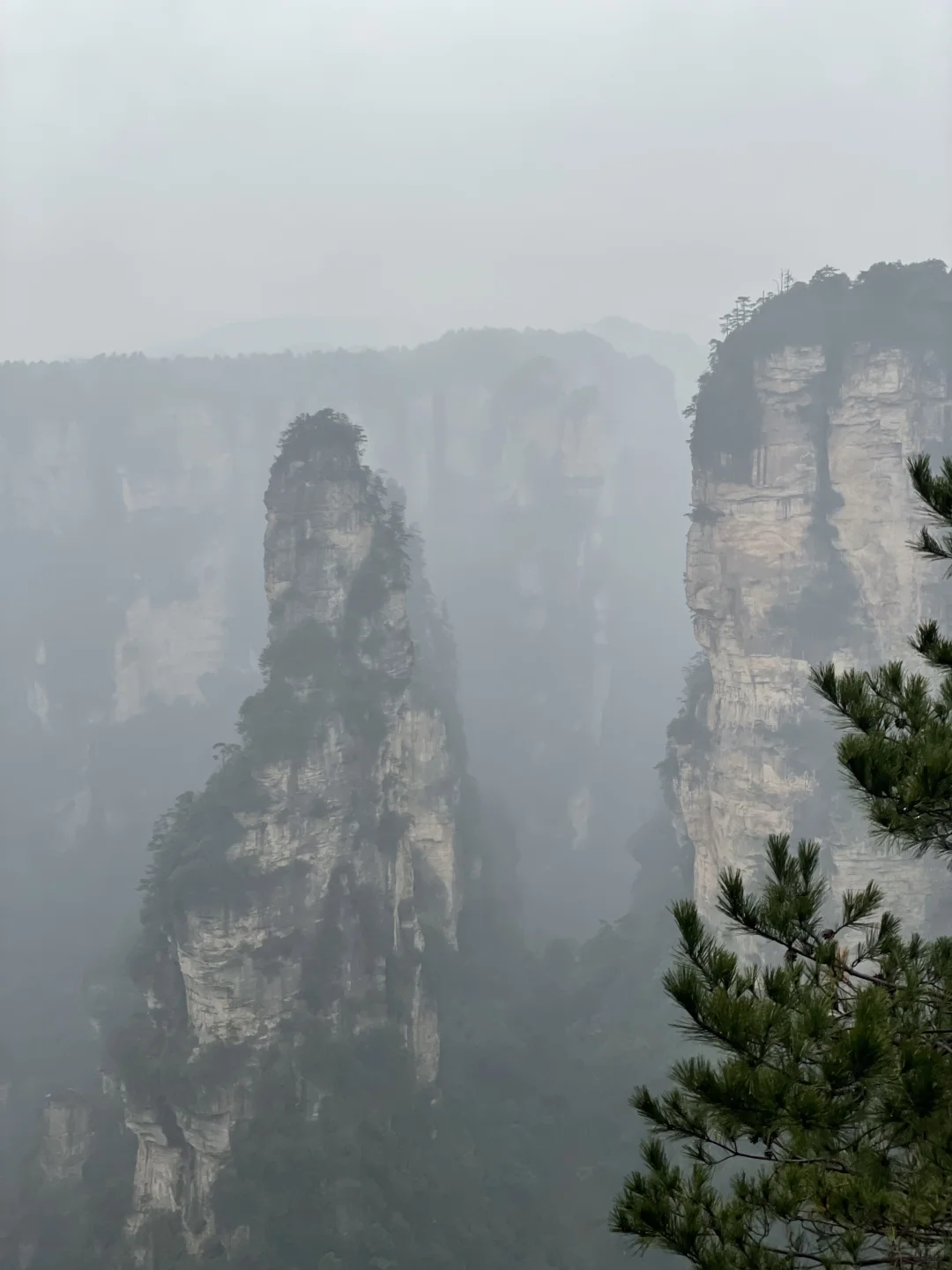 张家界3天2夜｜不想做攻略直接复制：）