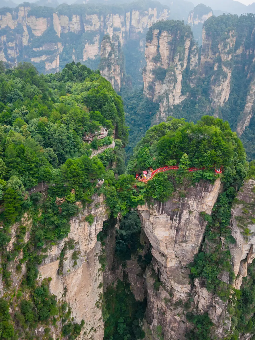 准备飞中国的注意啦‼️