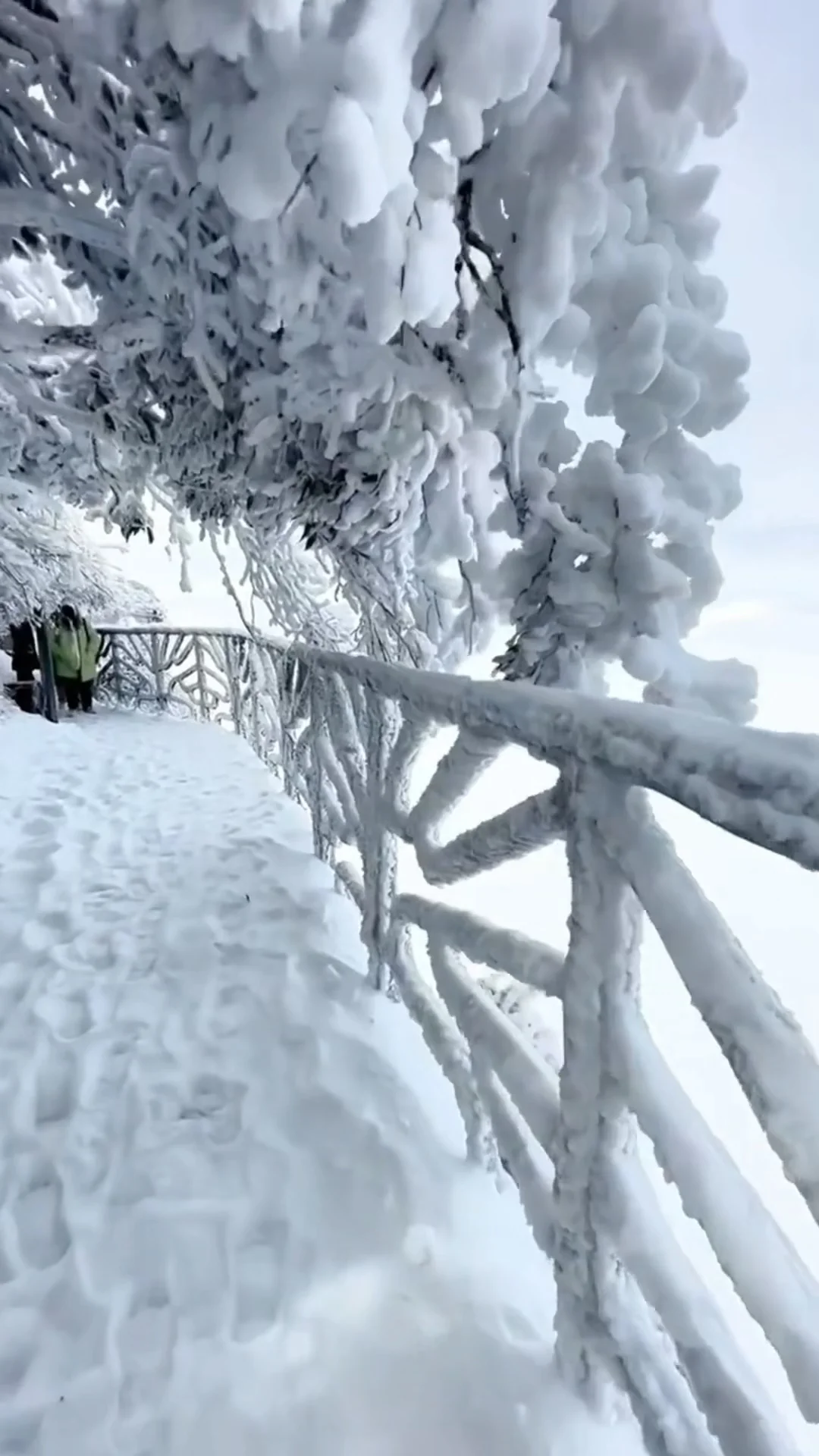 人生建议：冬天一定要去张家界看雪❄️
