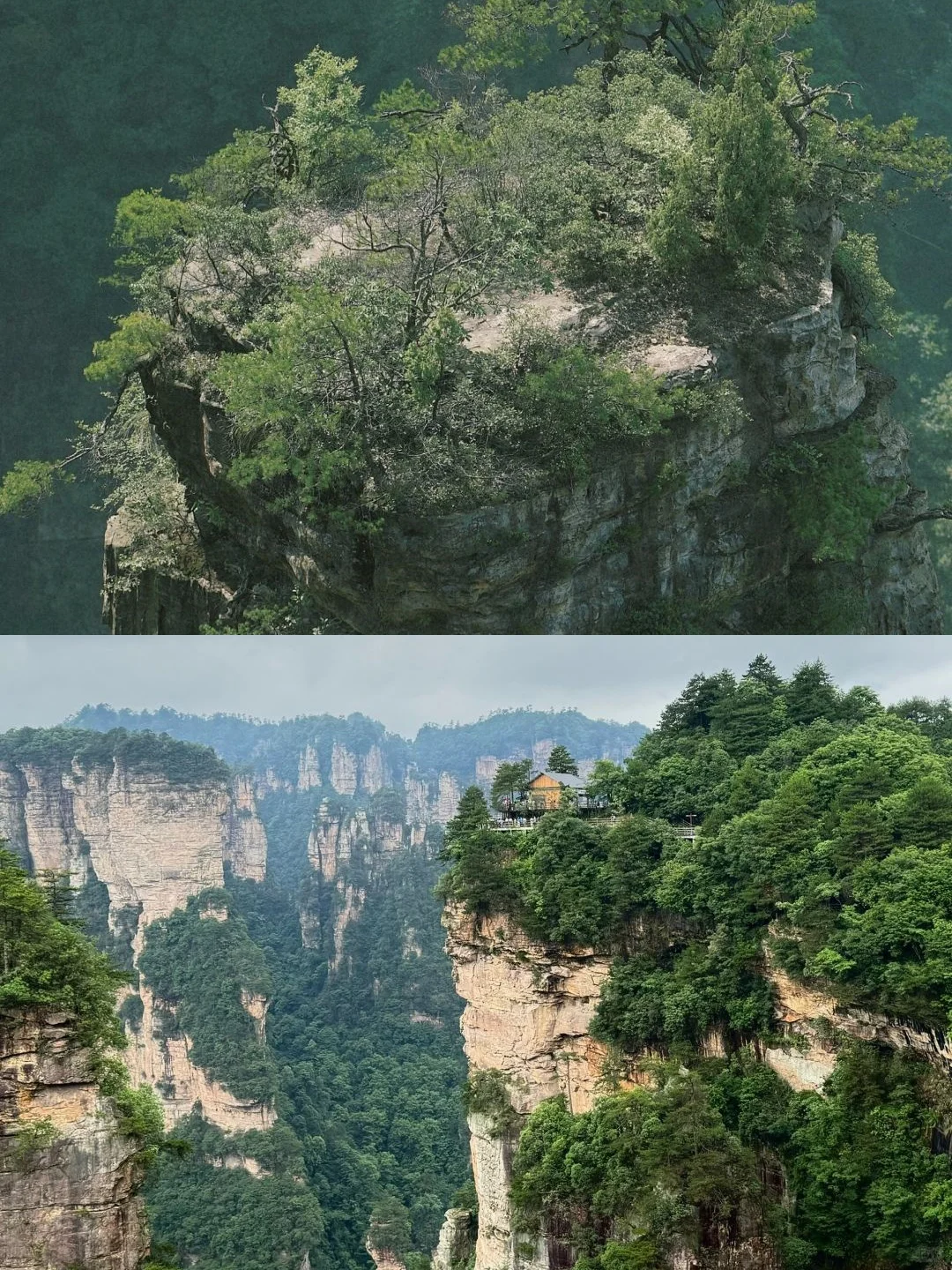 去张家界真的千万不要乱穿衣服 崩溃了…