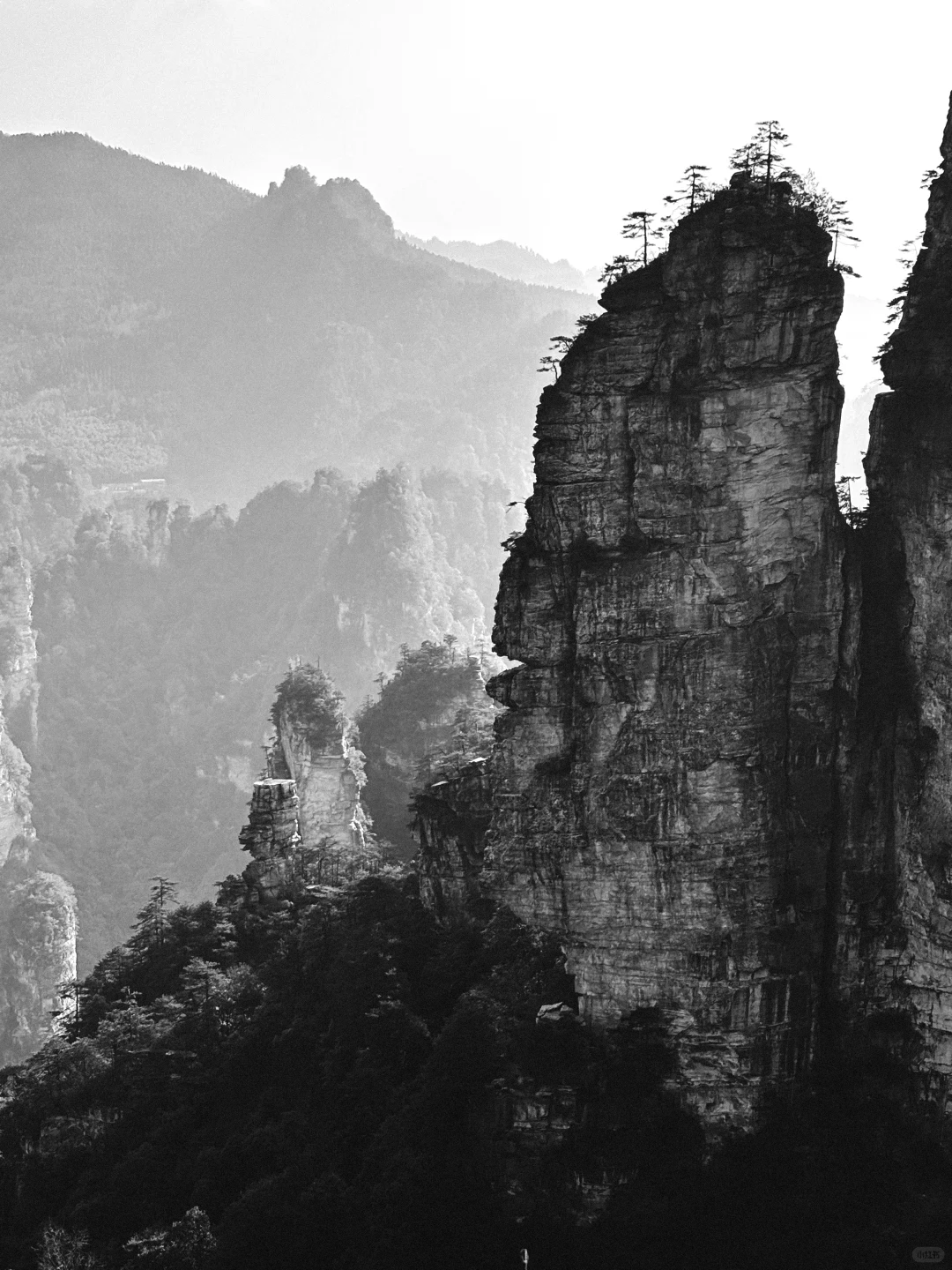 三天十万步畅游张家界