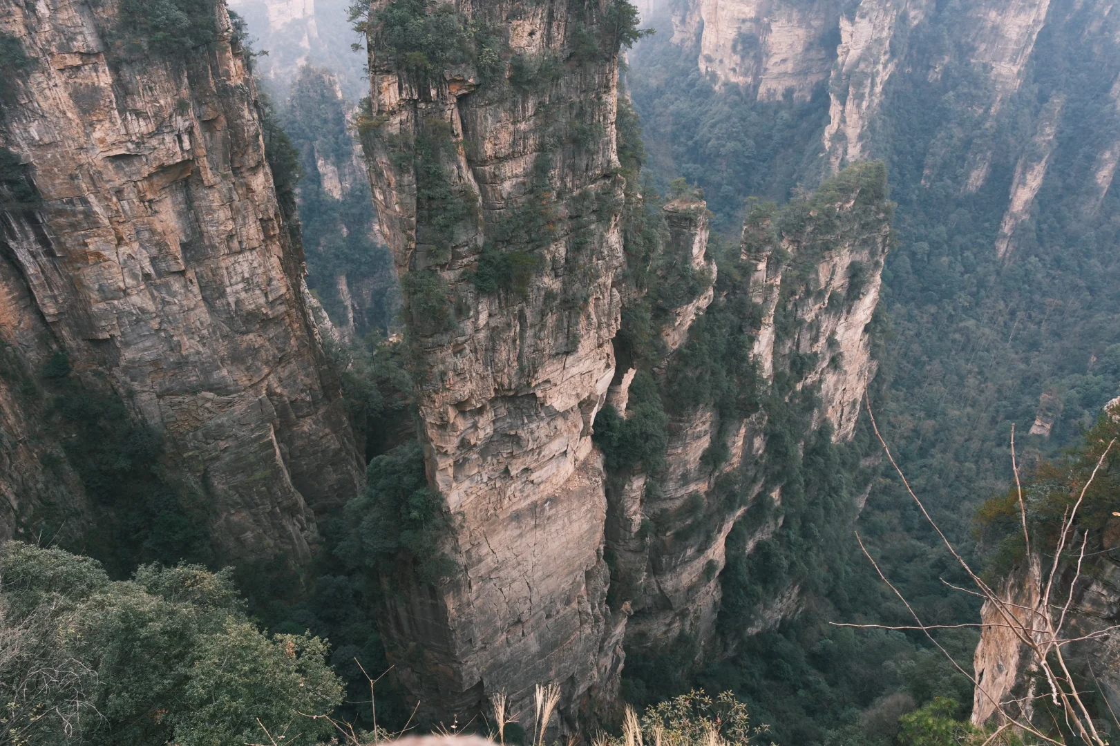 张家界森林公园冬天浓缩一日游最强攻略❗️
