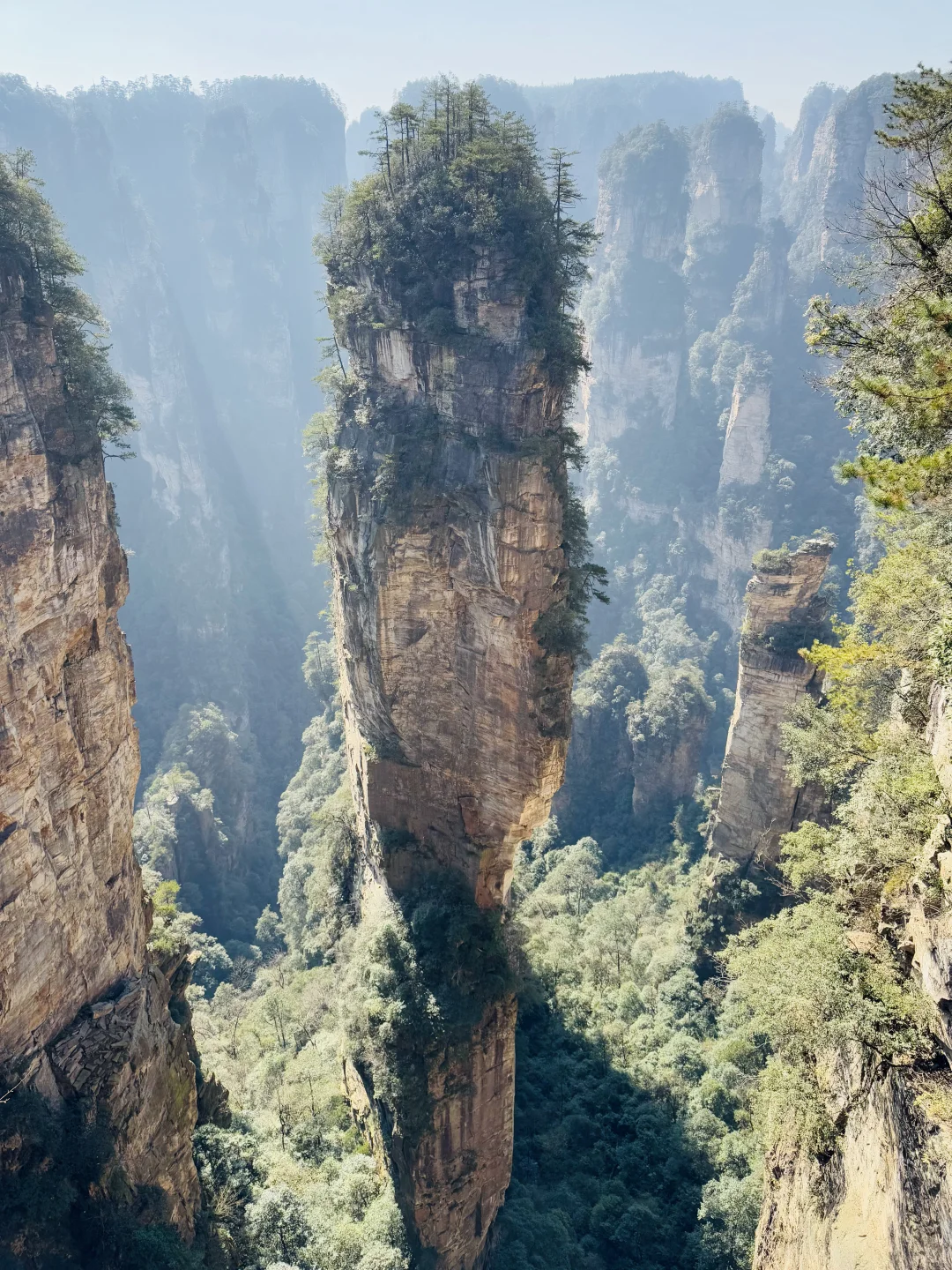 张家界，太美了！附精华攻略📖