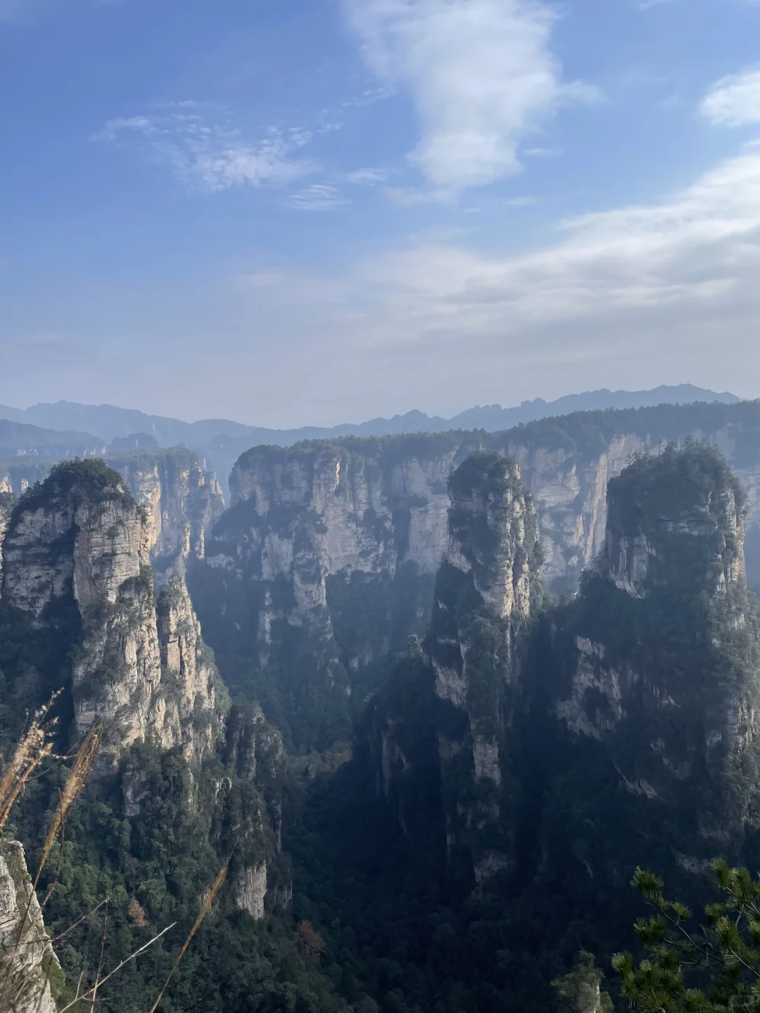 张家界3天2夜｜不想做攻略直接复制：）