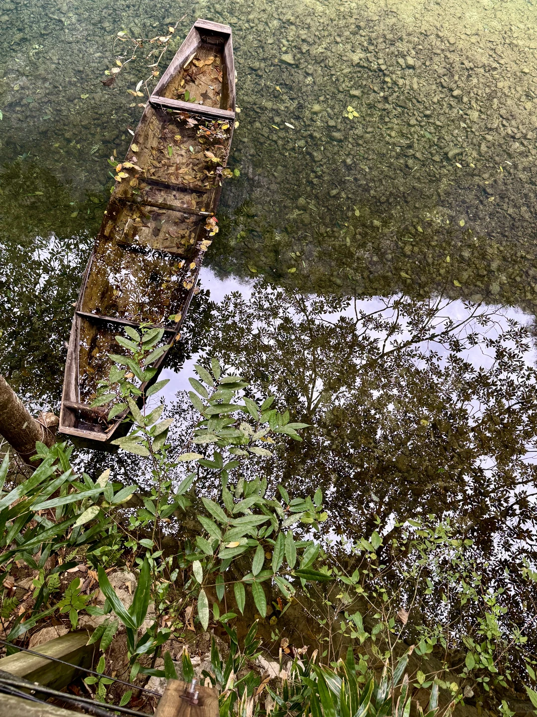 张家界大峡谷有点东西