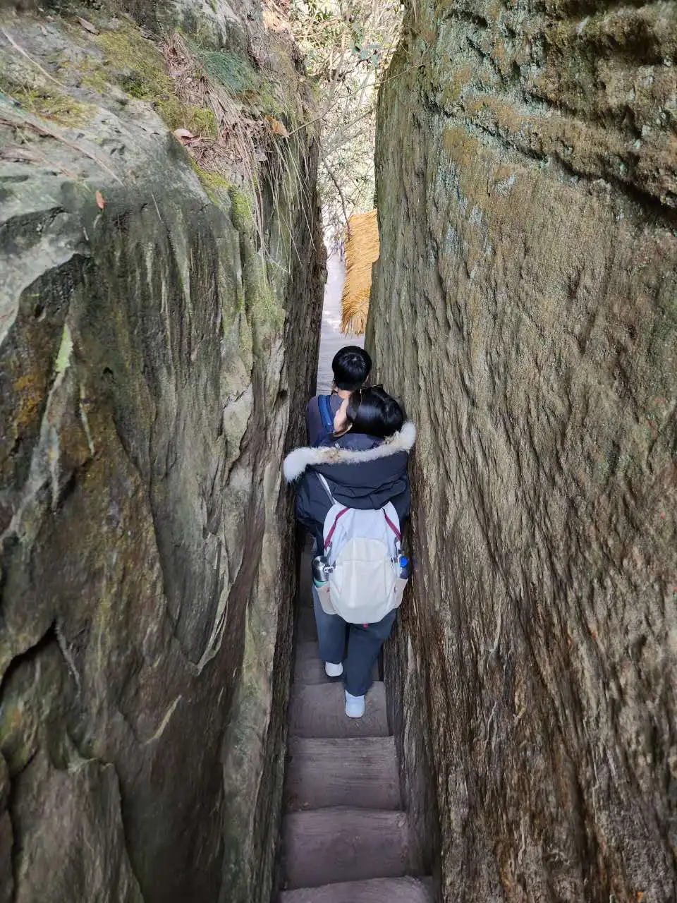跟着🇨🇦向导2天逛遍张家界公园